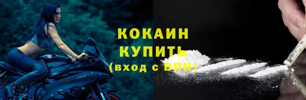 ешки Аркадак