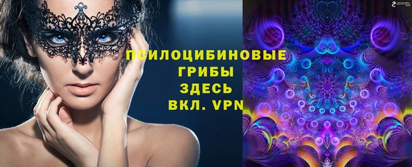 ешки Аркадак